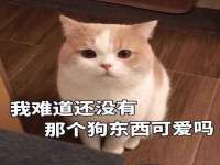 靖江市望京商贸有限公司