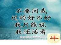 靖江市望京商贸有限公司