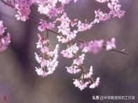 靖江市望京商贸有限公司