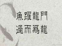 靖江市望京商贸有限公司