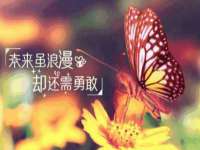 靖江市望京商贸有限公司