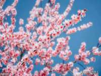 靖江市望京商贸有限公司