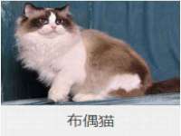 靖江市望京商贸有限公司