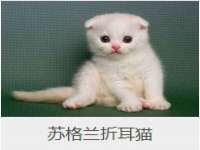 靖江市望京商贸有限公司