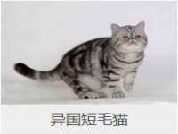 靖江市望京商贸有限公司