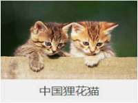 靖江市望京商贸有限公司