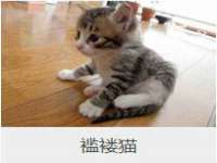 靖江市望京商贸有限公司