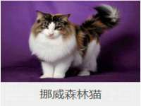 靖江市望京商贸有限公司