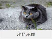 靖江市望京商贸有限公司