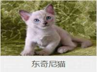 靖江市望京商贸有限公司