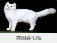 靖江市望京商贸有限公司