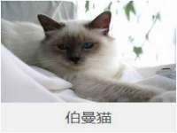 靖江市望京商贸有限公司