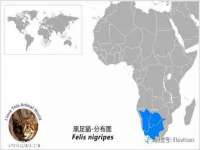 靖江市望京商贸有限公司
