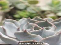 靖江市望京商贸有限公司