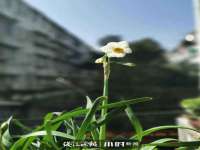 靖江市望京商贸有限公司