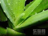 靖江市望京商贸有限公司