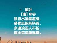 靖江市望京商贸有限公司