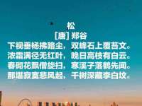 靖江市望京商贸有限公司