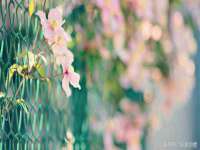 靖江市望京商贸有限公司