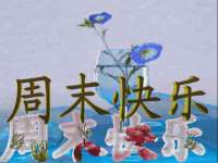 靖江市望京商贸有限公司