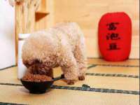靖江市望京商贸有限公司