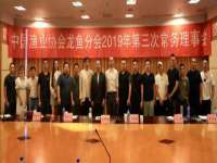 靖江市望京商贸有限公司