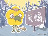 靖江市望京商贸有限公司