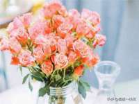 靖江市望京商贸有限公司