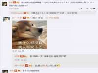 靖江市望京商贸有限公司
