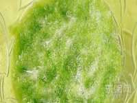 靖江市望京商贸有限公司