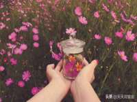 靖江市望京商贸有限公司
