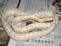靖江市望京商贸有限公司