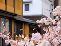 靖江市望京商贸有限公司
