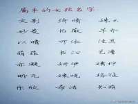 靖江市望京商贸有限公司